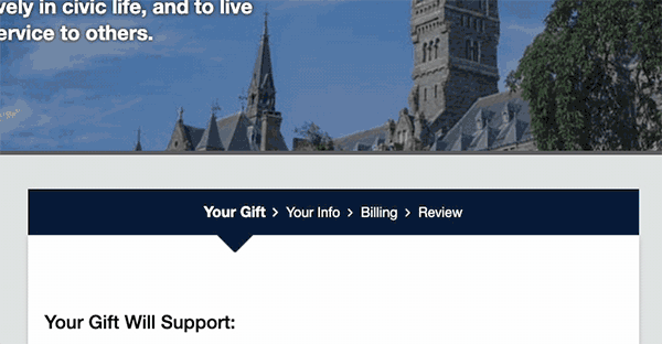 An animated screenshot from a web browser. The user scrolls down to the 'Other' dialog and inputs a dollar amount and a designation for 'CSET Emerging Technology Observatory.'