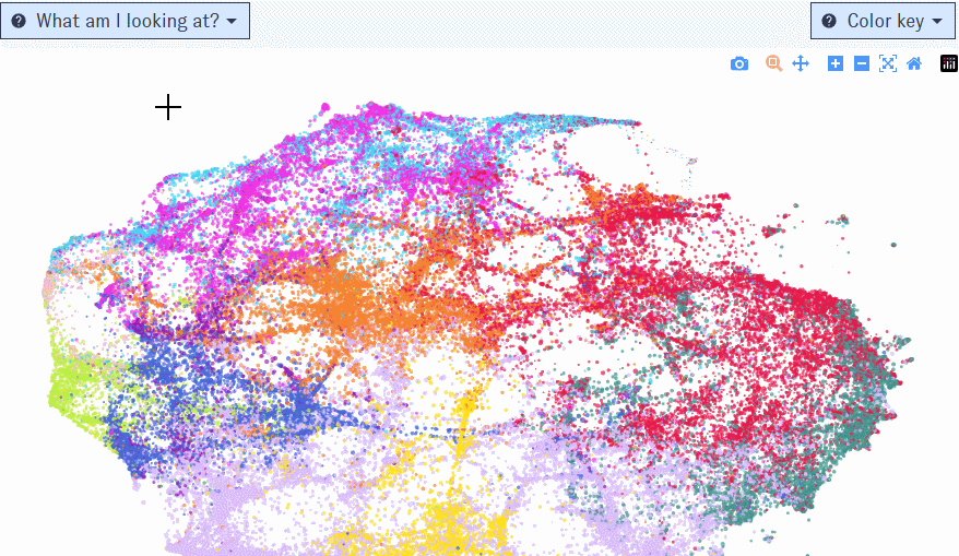 Animation: demonstrating the zoom function and graph controls