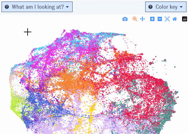 Animation: demonstrating the zoom function and graph controls